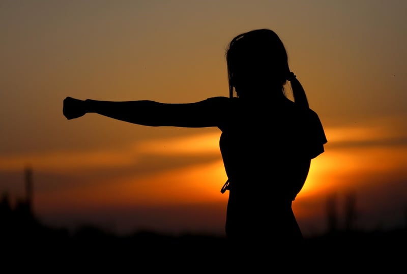 Sun Style Martial Arts
